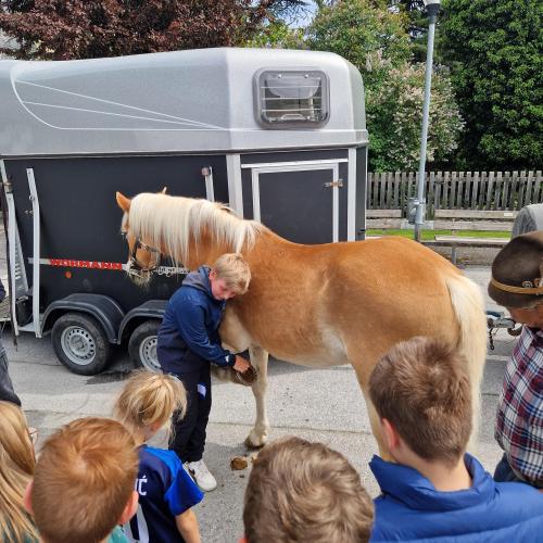 Biologiereferat 1b 2024