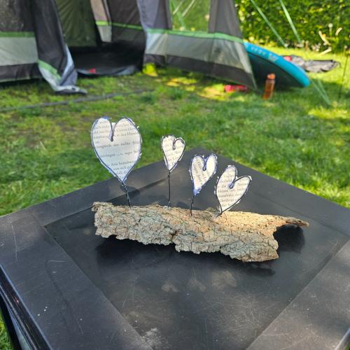 Drahtfiguren 2a 2024