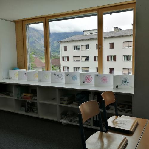 Spinnennetze 2b 2024