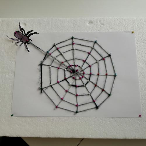 Spinnennetze 2b 2024