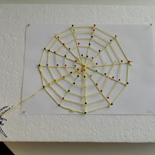 Spinnennetze 2b 2024