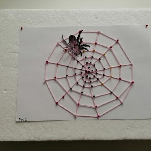 Spinnennetze 2b 2024