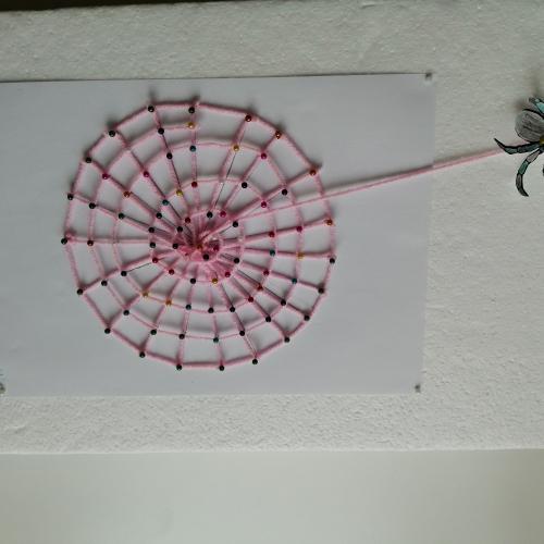 Spinnennetze 2b 2024