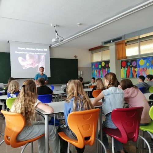 Vortrag Fledermaus 1ab 2024