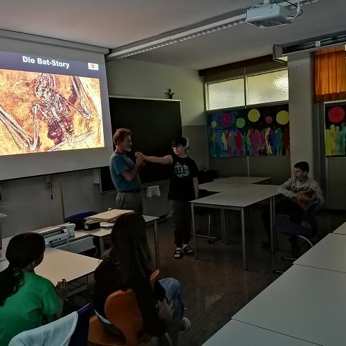 Vortrag Fledermaus 1ab 2024