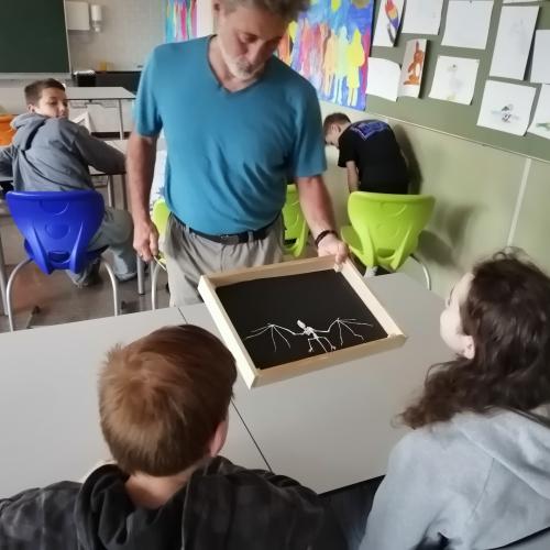 Vortrag Fledermaus 1ab 2024