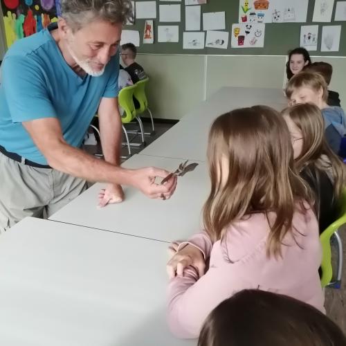 Vortrag Fledermaus 1ab 2024