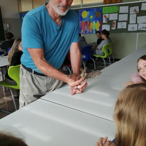 Vortrag Fledermaus 1ab 2024