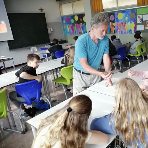 Vortrag Fledermaus 1ab 2024