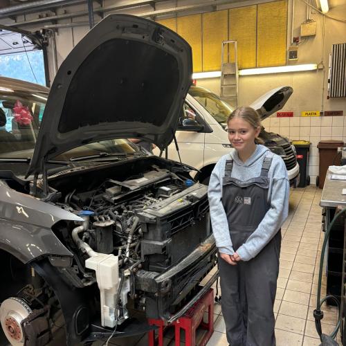 Berufspraktische Tage 4a 2024