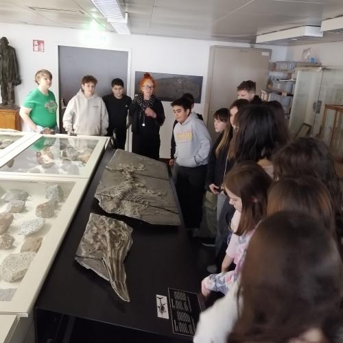 Ichthyosaurier, 3ab, 2024/25