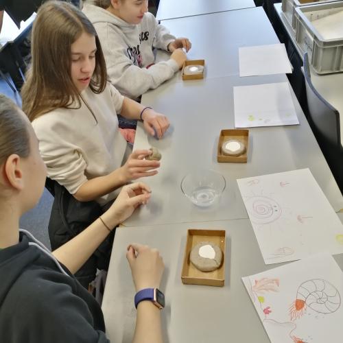 Gipsabdruck 3, 3ab, 2024/25