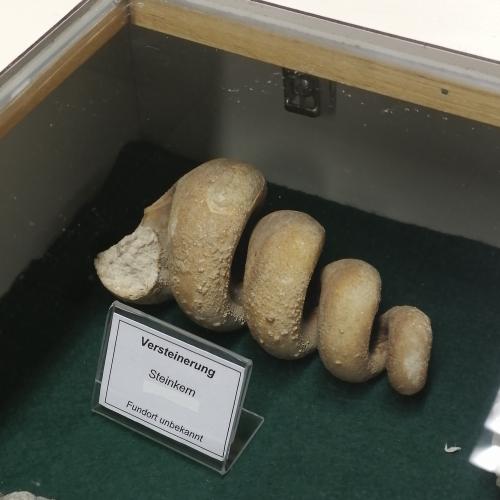 Steinkern, 3ab, 2024/25