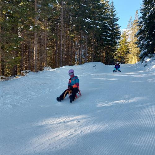 Wintersporttag 2024/25