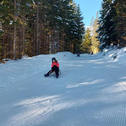 Wintersporttag 2024/25