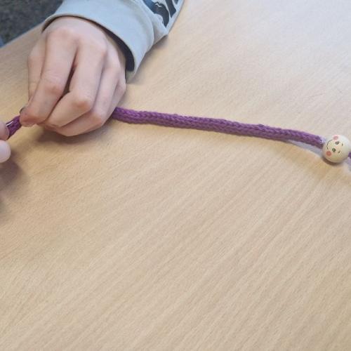 Raupen und Schmetterlinge 1a 2025