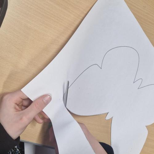 Raupen und Schmetterlinge 1a 2025