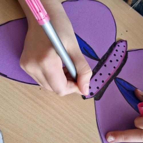 Raupen und Schmetterlinge 1a 2025