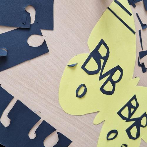 Raupen und Schmetterlinge 1a 2025