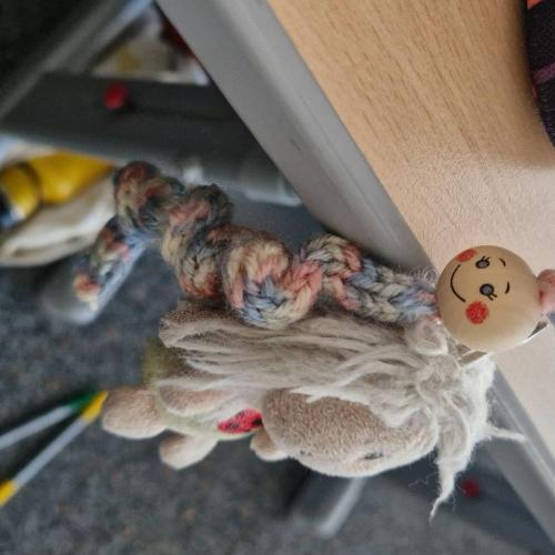 Raupen und Schmetterlinge 1a 2025