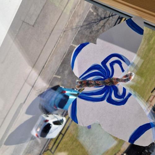 Raupen und Schmetterlinge 1a 2025