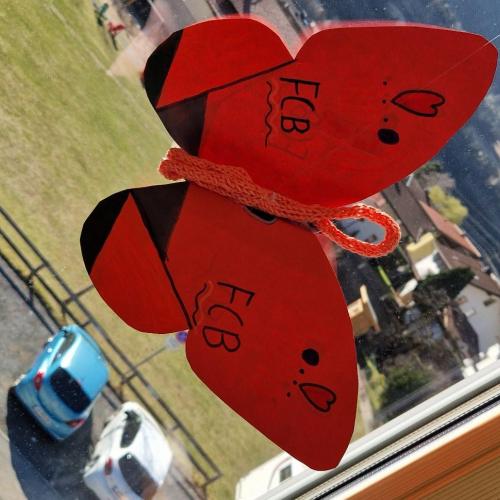 Raupen und Schmetterlinge 1a 2025