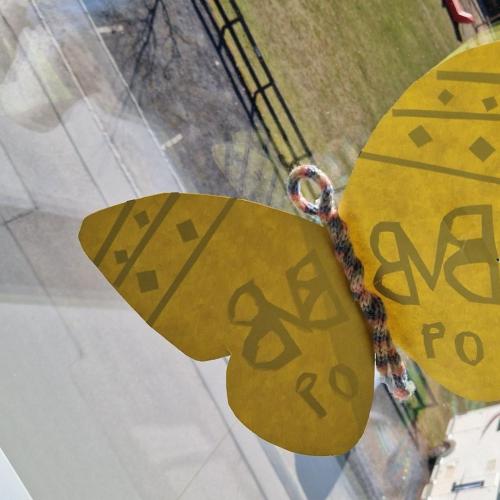 Raupen und Schmetterlinge 1a 2025