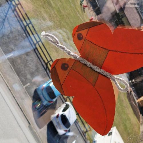 Raupen und Schmetterlinge 1a 2025