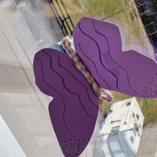 Raupen und Schmetterlinge 1a 2025