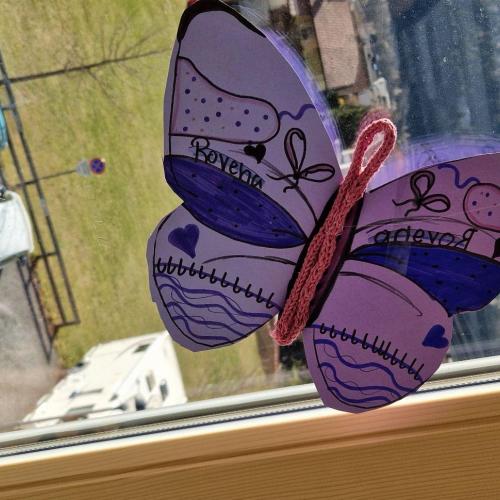 Raupen und Schmetterlinge 1a 2025