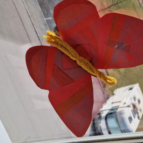 Raupen und Schmetterlinge 1a 2025