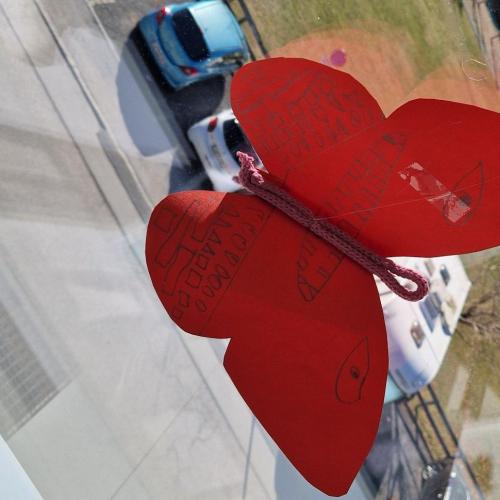 Raupen und Schmetterlinge 1a 2025