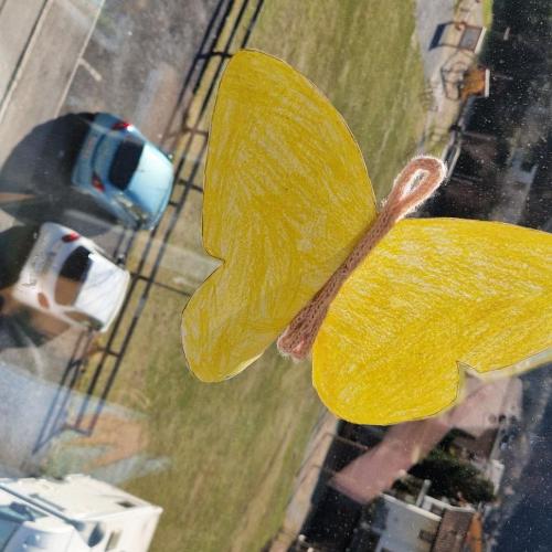 Raupen und Schmetterlinge 1a 2025