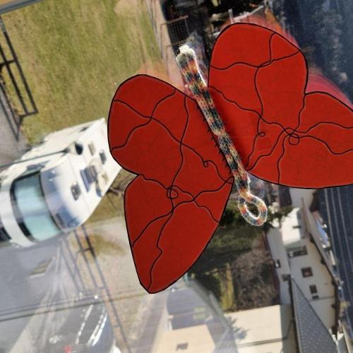 Raupen und Schmetterlinge 1a 2025