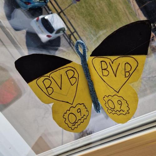 Raupen und Schmetterlinge 1a 2025