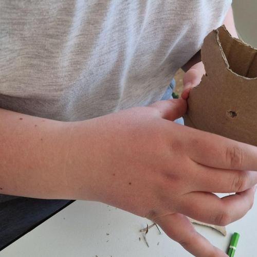 3D-Leinwand Tier 3b 2025