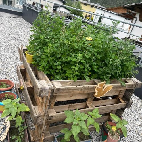 Palettensponsor auf Besuch