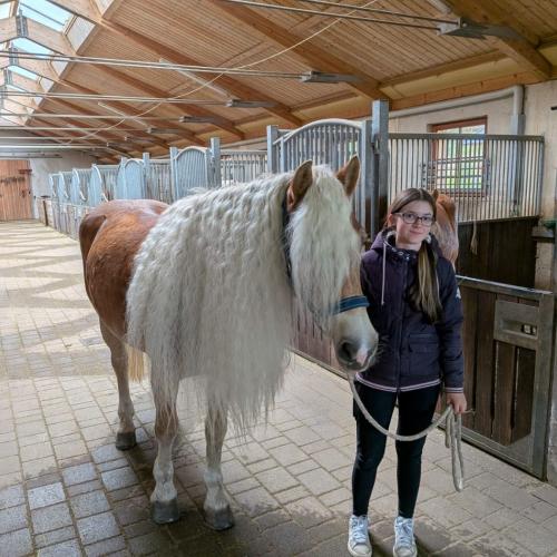 Berufspraktische Woche 4ab 2025