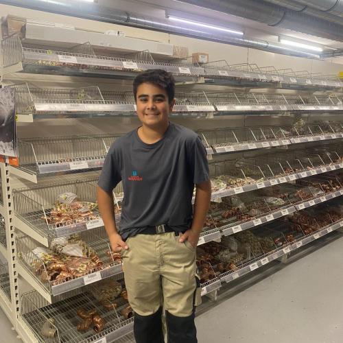 Berufspraktische Woche 4ab 2025