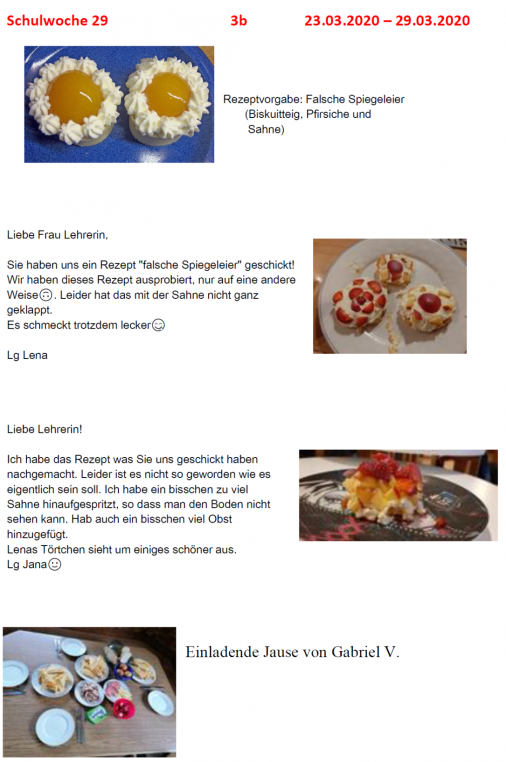 Tagebuch 3b Woche 29