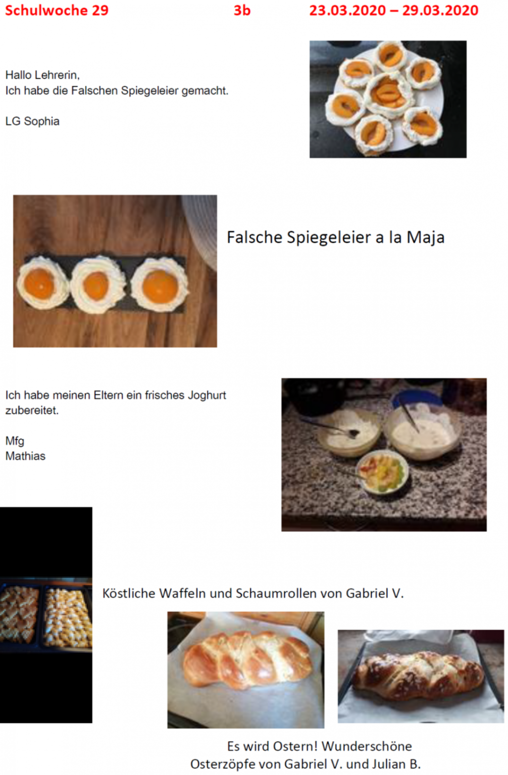 Tagebuch 3b Woche 29