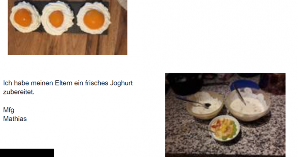 Tagebuch 3b Woche 29