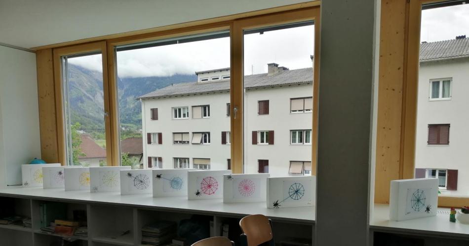 Spinnennetze 2b 2024