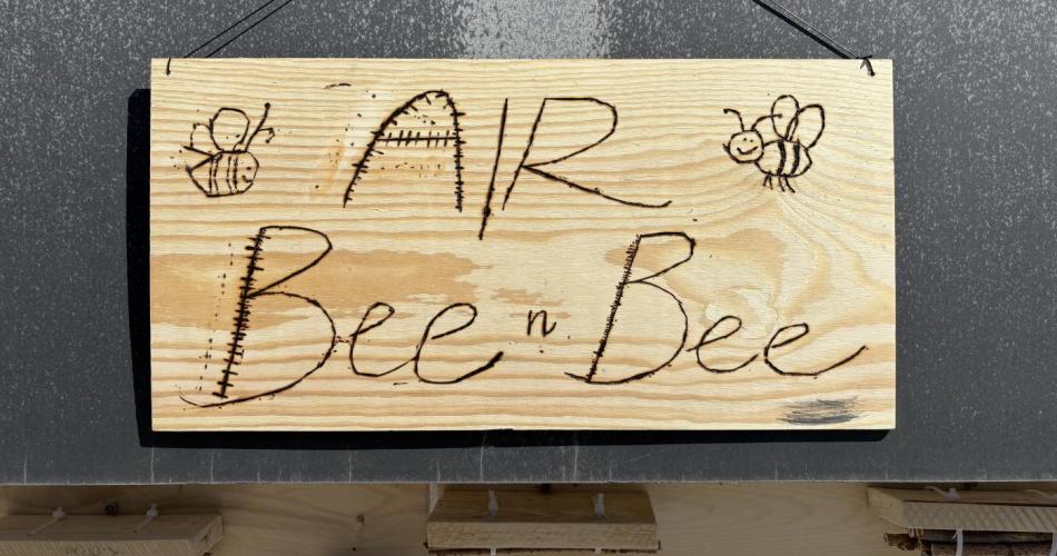 AirBeenBee